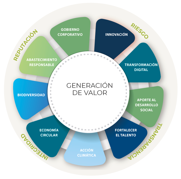 grafico1-lineamientos grafico1-lineamientos